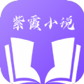 紫霞小說免費版