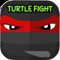 Turtle Fight Ninja is Born